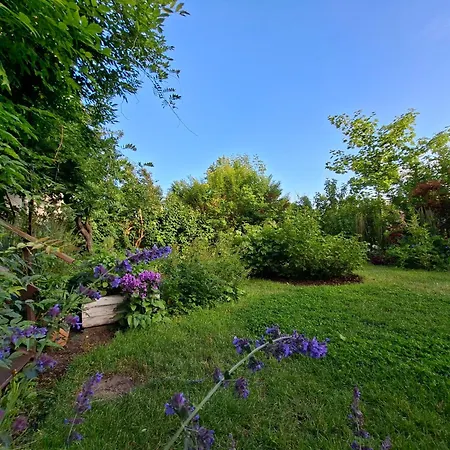 Przestronne Mieszkanie Przyjazne Dzieciom I Zwierzetom Gdańsk