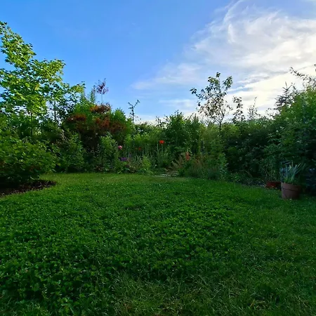 Apartment Przestronne Mieszkanie Przyjazne Dzieciom I Zwierzetom *