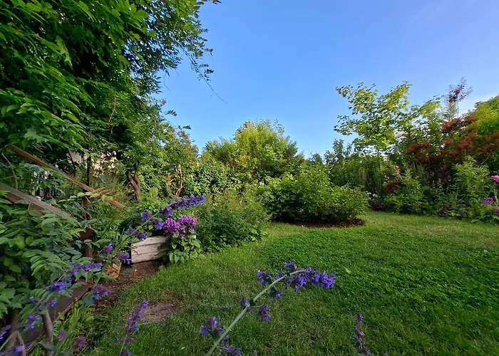 Przestronne Mieszkanie Przyjazne Dzieciom I Zwierzetom Gdansk