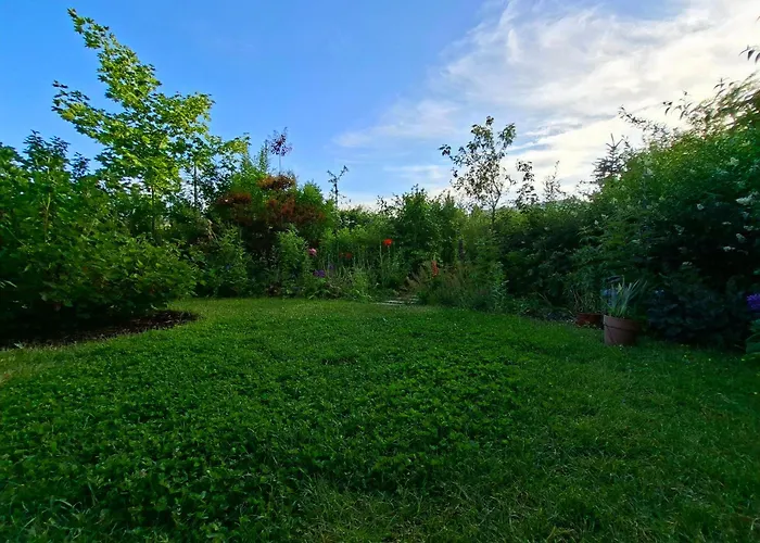 Apartment Przestronne Mieszkanie Przyjazne Dzieciom I Zwierzetom *